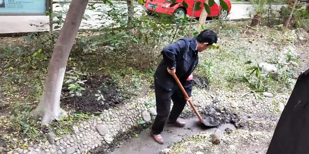 自由星城全體員工動手治理小區(qū)環(huán)境