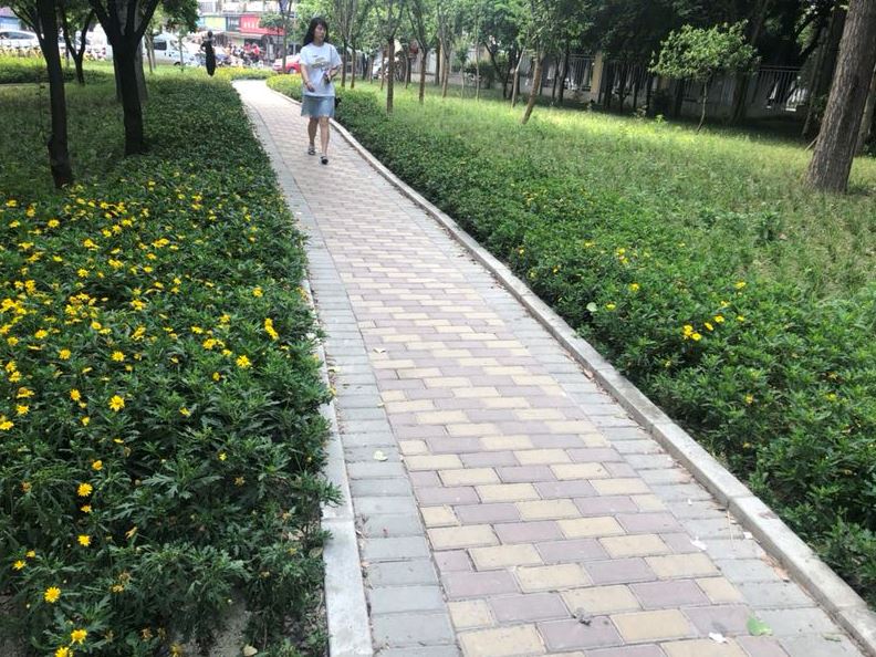 彩蝶花園小區(qū)出門就是公園