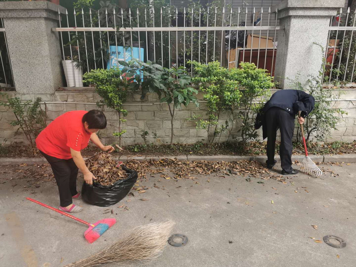 自由星城維護園區(qū)環(huán)境